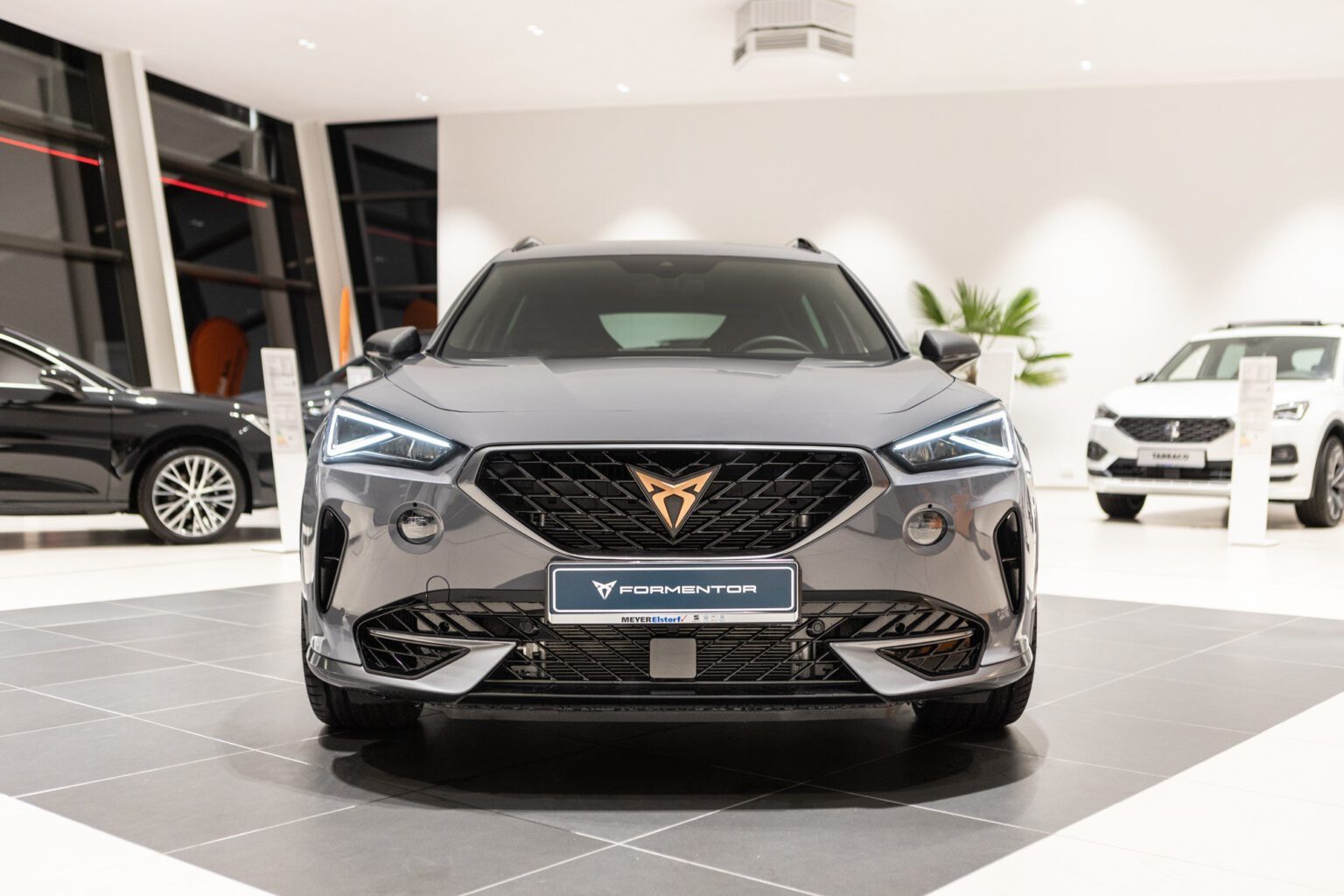 Wunderschone Cupra Graphene Grau Ebenbild
