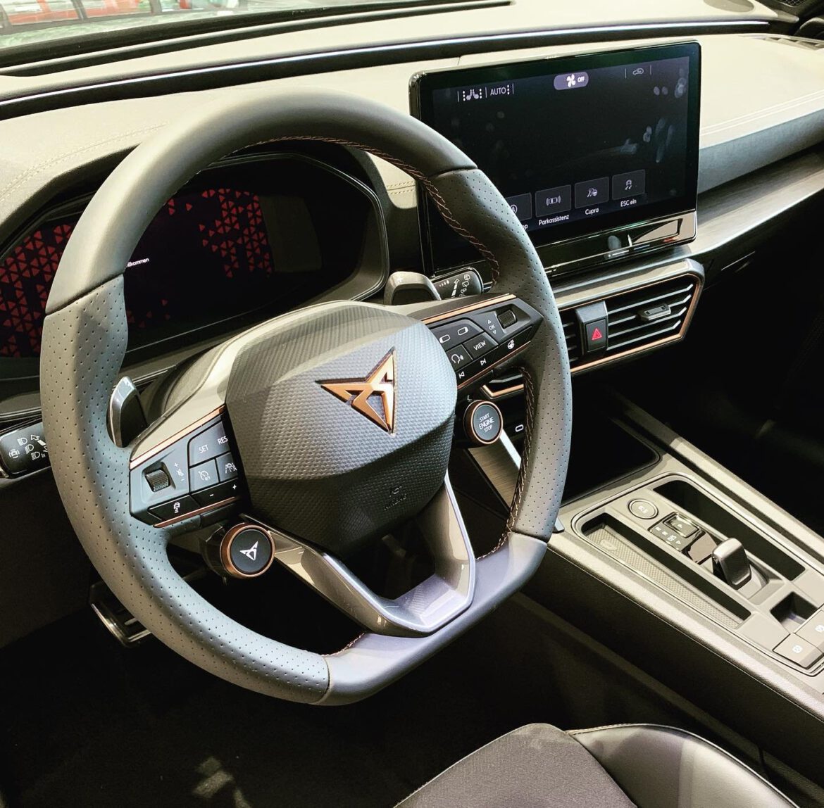 CUPRA Formentor 310 PS graphene grau MEYER ELSTORF